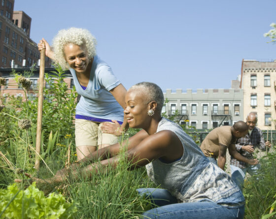 Women working in a community garden