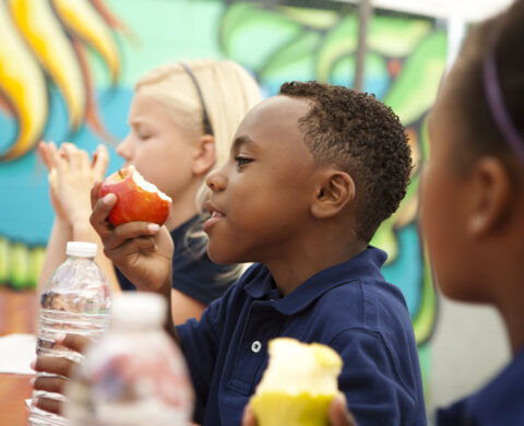 Students eating during their lunch break