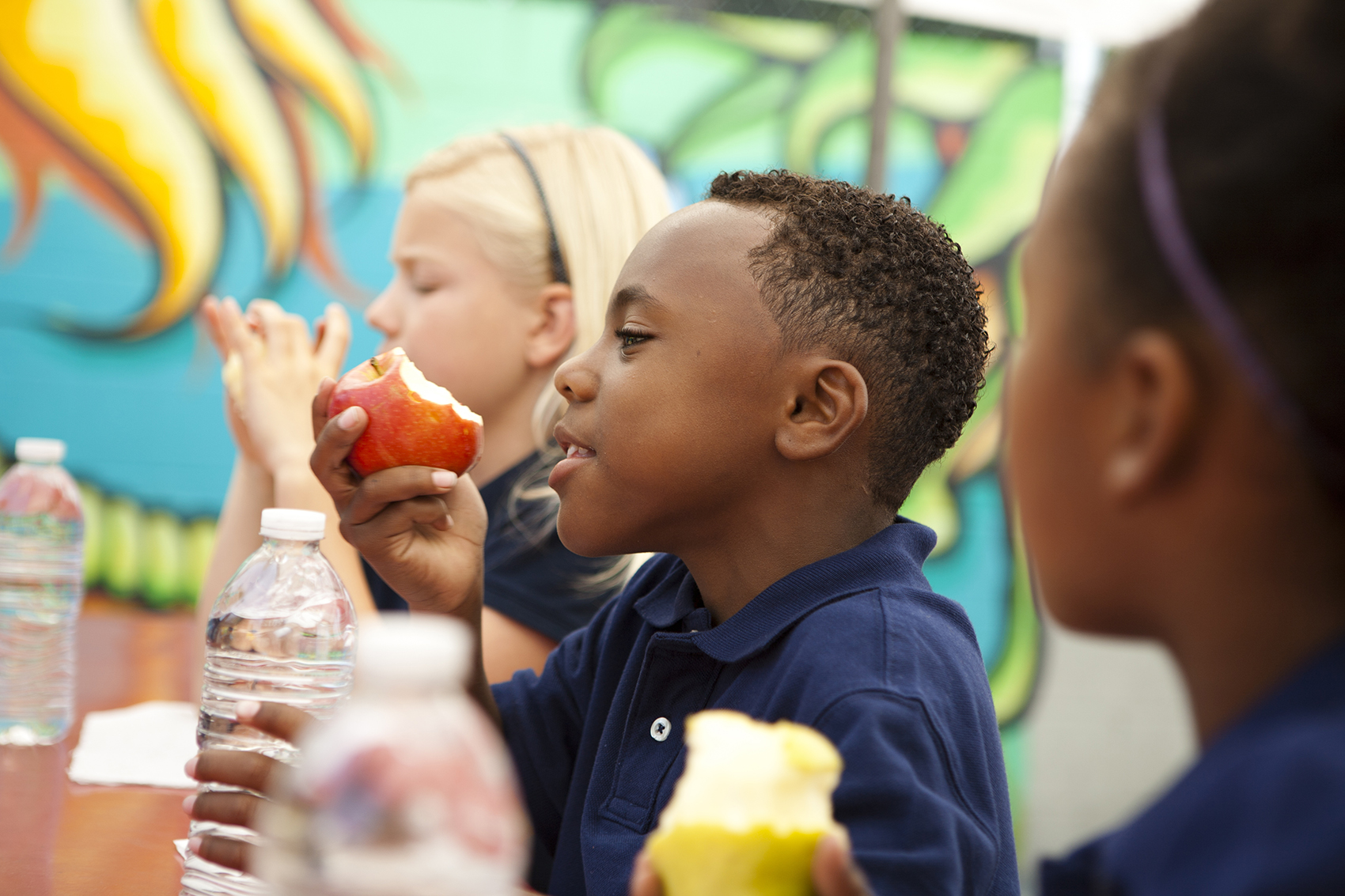 The State of Obesity 2018: Better Policies for a Healthier America