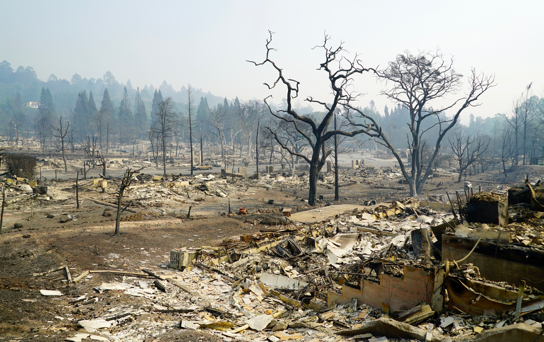 Ready or Not: Protecting the Public’s Health from Diseases, Disasters and Bioterrorism, 2019