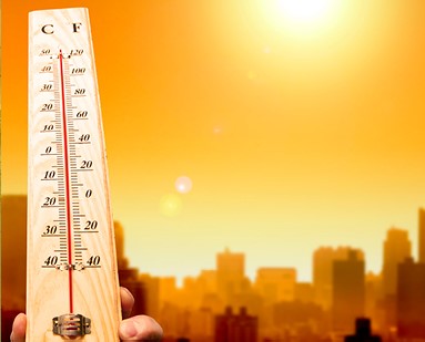 Climate Change & Health Case Study Part 2- Advancing Distributional Equity in Climate Adaptation