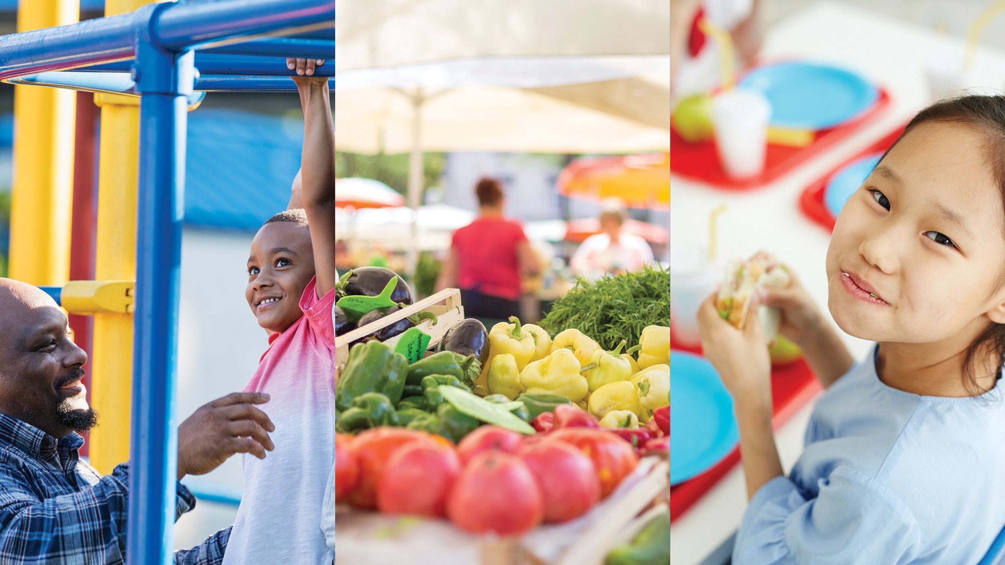 State of Obesity 2022 Congressional Briefing and Webinar