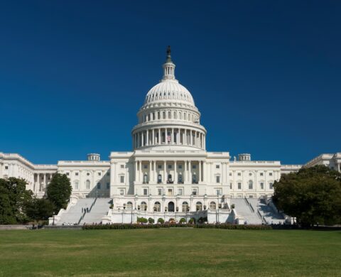 The US Capitol