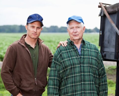 Men Working On A Potato Farm, With Trucks