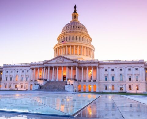 US Capitol Crop